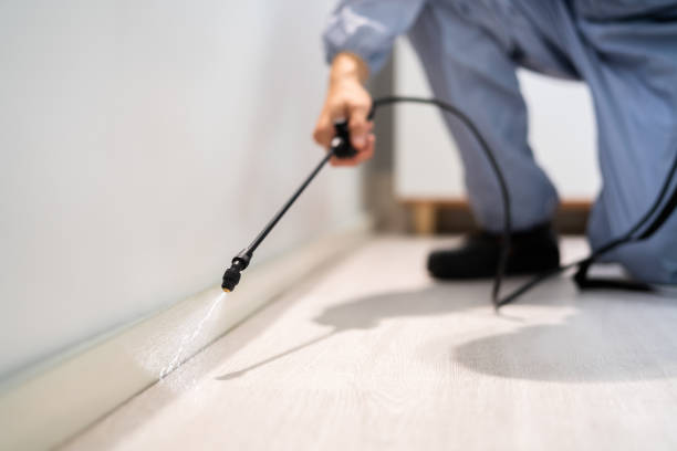Licensed Termite Control service in Schenectady County County, NY - Nex Pest Control